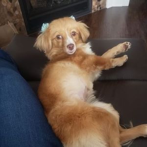 Meet your Posher, Ellen